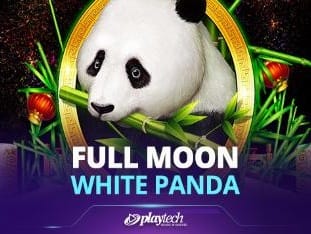 Bulan Purnama_ Panda Putih™ screenshot